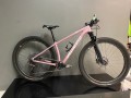 BICICLETA SPECIALIZED EPIC HT - XS - SEMINOVA 
